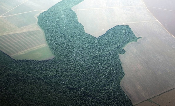 [이슈인포그래픽] 브라질, 아마존 열대우림 파괴 두고 논란 지속