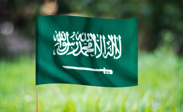 [전문가오피니언] 사우디아라비아 국부펀드 PIF의 투자 전략과 문제 사례 분석