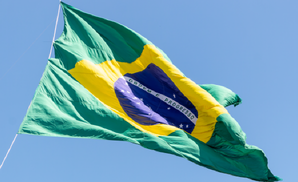 [이슈트렌드] 브라질, 아프리카 국가들과의 협력 확대 모색 ... 이스라엘 문제에 대해 입장 표명